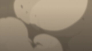 第25集 超級生物的誕生