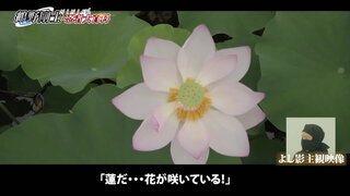 第5集