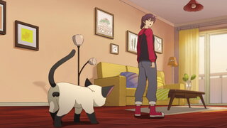 第1集