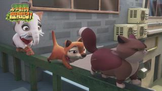 第31集