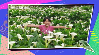第104集 台北必買伴手禮清單／北海：自駕遊親子樂