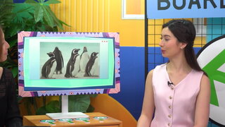 第73集 納米比亞