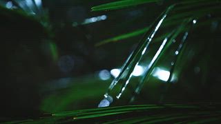 第3集