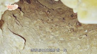 第11集 哈塔