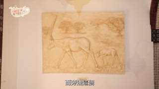 第16集 卡達水上樂園