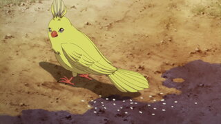 第4集