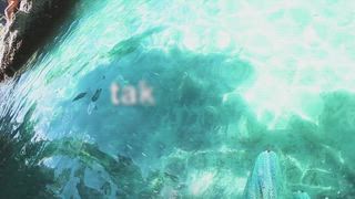 0401 寮國的「長臂猿體驗」(上)
