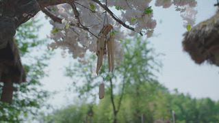 第21集 天下再大 有你足矣