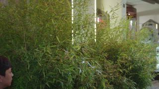 第41集