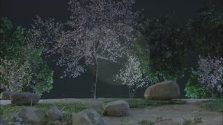 第5集