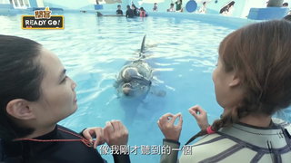 039 花蓮篇 親親海豚