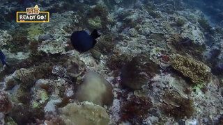044 綠島篇 美麗海底世界