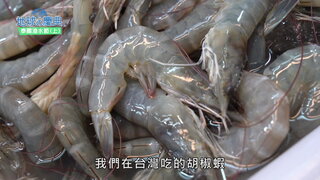 44 泰國潑水節(上)