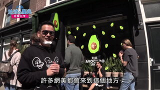 60 荷蘭花季