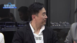 64 比利時伊珀爾拋貓節(下)