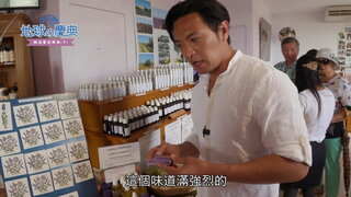 72 南法薰衣草季(下)
