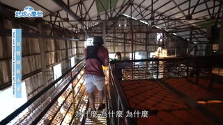 97 一箭雙鵰藝術季