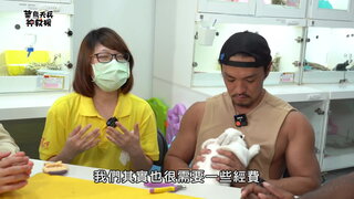 愛兔協會兔子保母 (上)