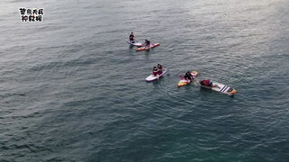 海龜的僕人 (上)