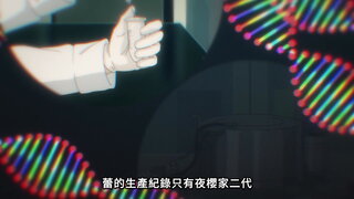 第33集 嶄新的櫻