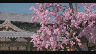 第15集 我的愛人