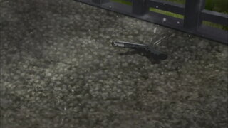 第1集