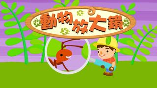 第10集 蟾蜍