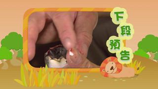 第2集 雞