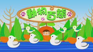 第7集 小丑魚