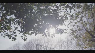 第5集 假面舞會