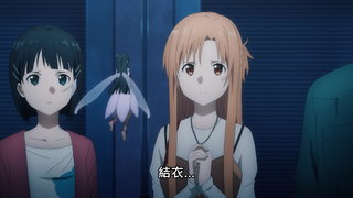 第5集 海龜