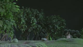 第43集
