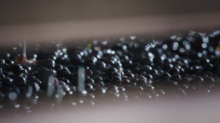 第12集