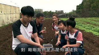 第13集 高麗菜