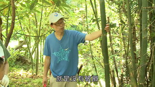 第15集 竹筍