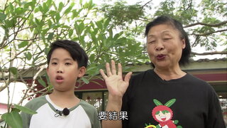 第17集 檸檬
