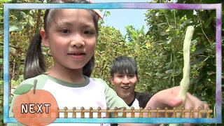 第20集 小黃瓜長豆