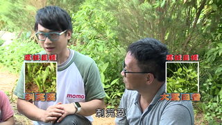 第3集 有機野菜