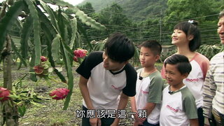 第8集 火龍果