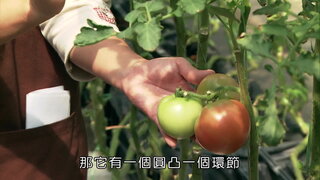 第9集 番茄