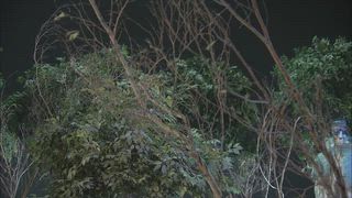 第10集