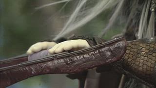 第22集