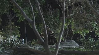 第7集