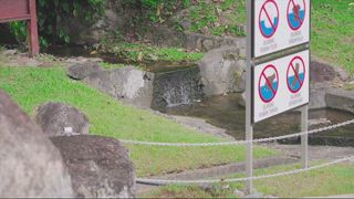 第12集 挑戰世界海拔最高的鐵索攀登