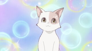 第5集 白貓與少女