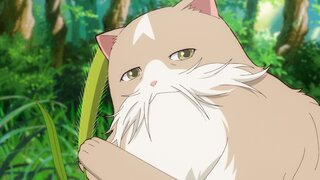 第6集 狗尾草枝夜