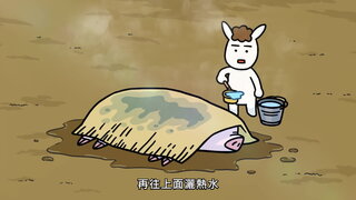 第10集 豬