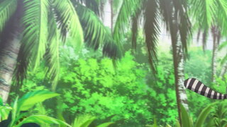 第19集 脫兔