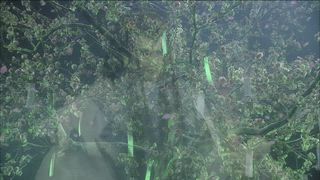 第17集