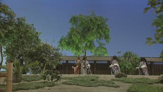第46集